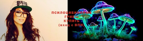 ПСИЛОЦИБИНОВЫЕ ГРИБЫ Ельня